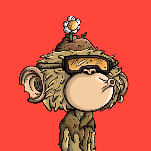 Adventuresofjimmy