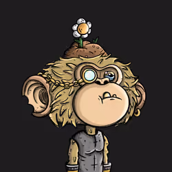 Jimmy #6255