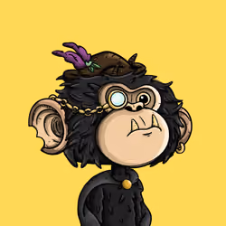 Jimmy #890