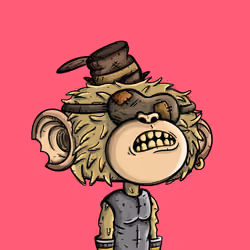 Jimmy #505