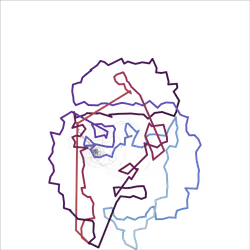 FourierPunk #1010