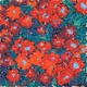 Bloom by Cory Haber