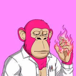 241