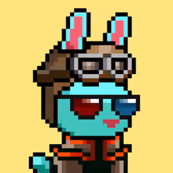 Bunni #997