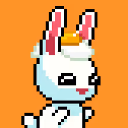 Bunni #2500