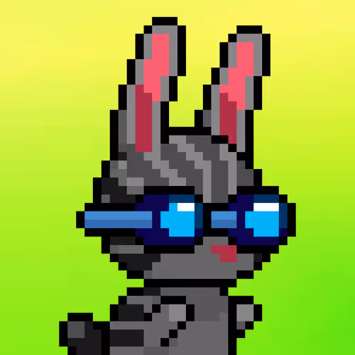 Bunni Nft