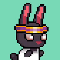 Bunni #568