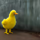 185