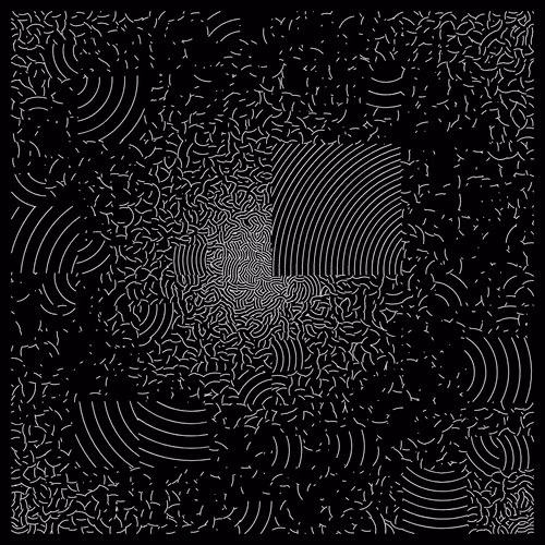 Umwelt #29