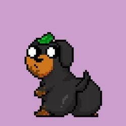 Thicc Frens #864