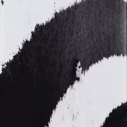 232
