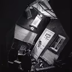31