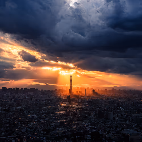 東京壮観