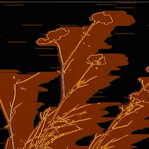 _kintsugi