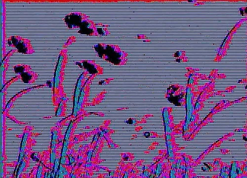 Item #3 Media