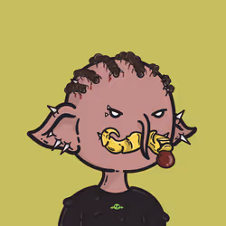 204