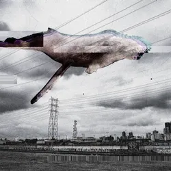 DOPPELGÄNGER - INVERSION OF NATURAL ORDER, WHALE