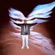 JMV Angel Wings