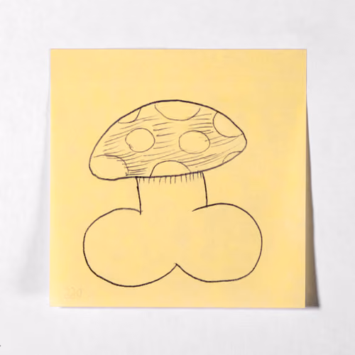 Item #66 Media