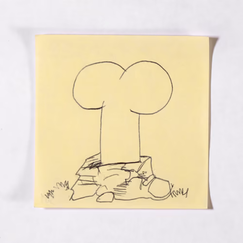 Item #501 Media