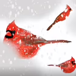 44