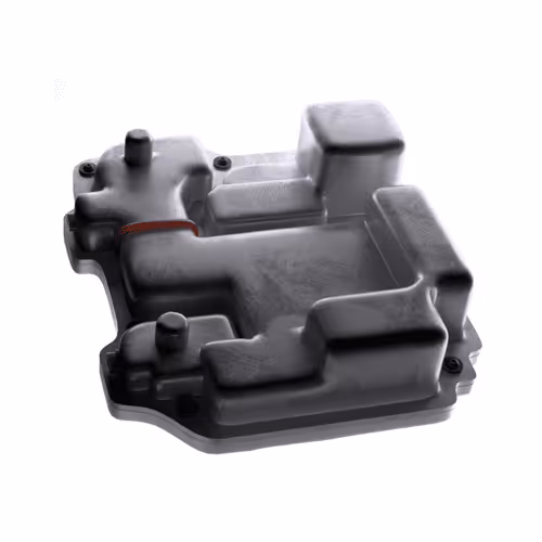 Zien Annual 2024 Membership