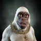 7797