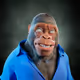 1425