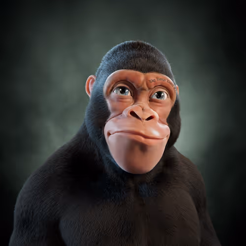 Alpha Kong #5038
