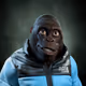 4063