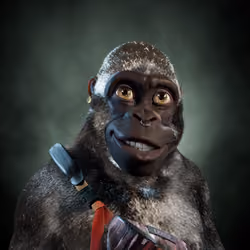 Alpha Kong #7353