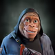 3433