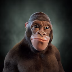 Alpha Kong #5595