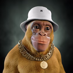 Alpha Kong #6611