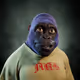 7958
