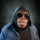 2937