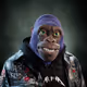 6232