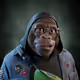 3919