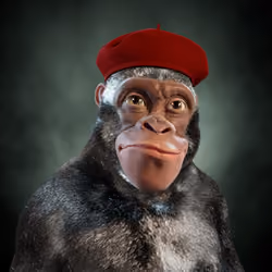 Alpha Kong #2551