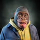 3463