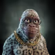 4833