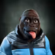 8543