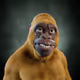4726