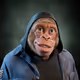 4451