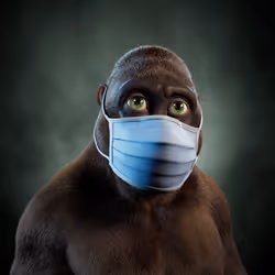 Alpha Kong #7756