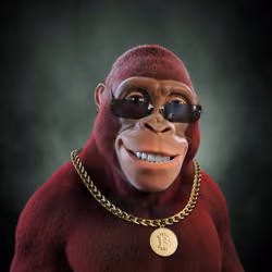 Alpha Kong #1641