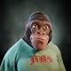 4536