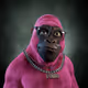 1461