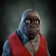 5224