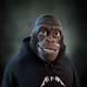 2058